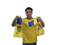 Football Dksl Sticker by Brøndby IF