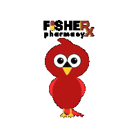Rochester Cardinal Sticker by Fisher Pharmacy