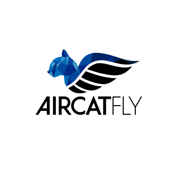 Escuela Sticker by AircatFly