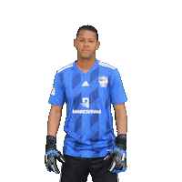 Liga Dominicana Soccer Sticker by Cibao FC