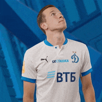 GIF by FC Dynamo Moscow