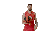 Liga Endesa Spinning Sticker by ACB
