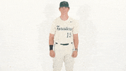 Huntington University Baseball GIF by FDN Sports