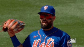 Ny Mets Glove GIF by New York Mets
