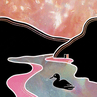 Pink Water GIF by littlekingdoms