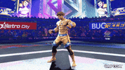 Video Game Party GIF by CAPCOM