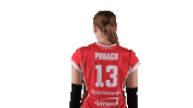 Sport Volleyball Sticker by LP Viesti