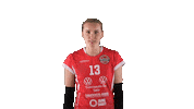 Sport Volleyball Sticker by LP Viesti