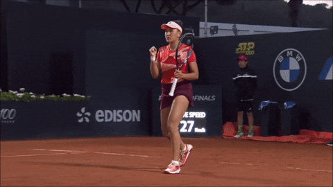 Wta Russians GIF