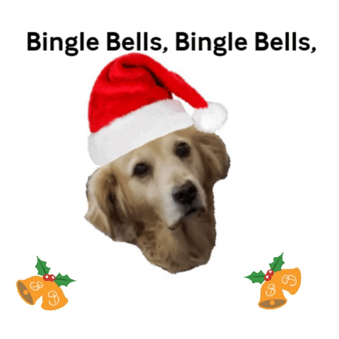 Bingle Bells GIF by MarineDepotDirect