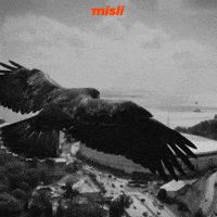 Sponsor Tammy GIF by Misli