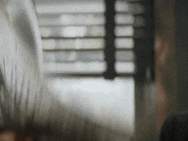 Got You Gun GIF by The Lonely Island