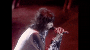 Steven Tyler 1980S GIF by Aerosmith