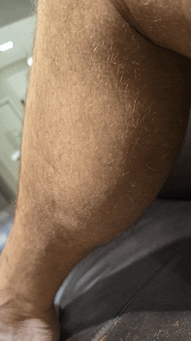 micheynekamp  GIF