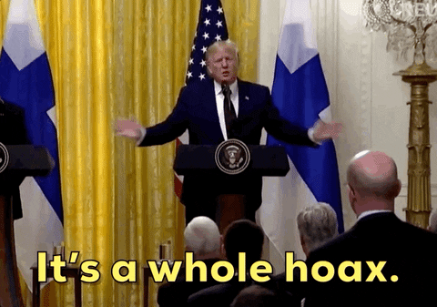 Donald Trump Hoax GIF