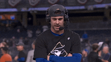 Blue Jays Baseball GIF by Toronto Blue Jays