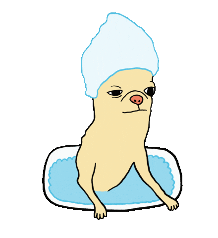 Chihuahua Sticker