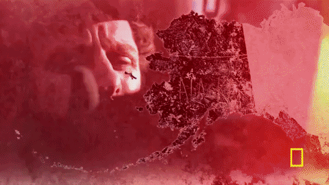 life below zero GIF by National Geographic Channel