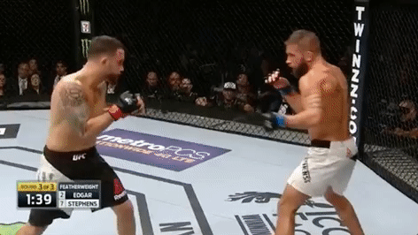 ufc 205 mma GIF by UFC