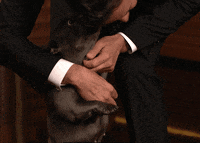 Jimmy Fallon Kiss GIF by The Tonight Show Starring Jimmy Fallon