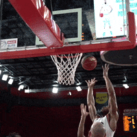 thelondonlions poster shouting slam dunk putback dunk GIF
