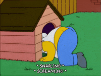 homer simpson GIF