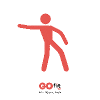 Dance Baile Sticker by GO fit