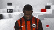 Line Up Smile GIF by Bundesliga