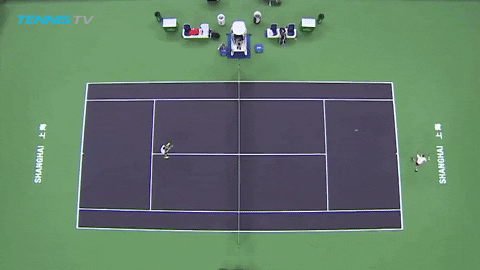 federer shanghai GIF by Tennis TV