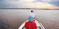 south carolina GIF