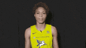 Excited Lets Go GIF by Dallas Wings