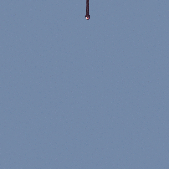 asudeasar giphyupload GIF