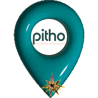 Cat Vitamin Sticker by Pitho