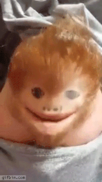 upside down GIF