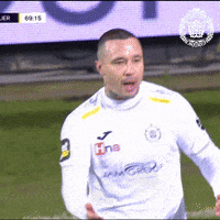 Pro League Celebration GIF by KSC Lokeren-Temse