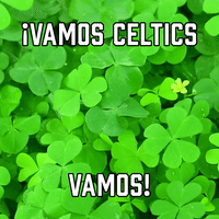 ¡Vamos Celtics Vamos!