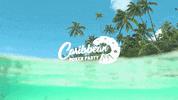 Partypokerlive partypoker partypoker live caribbean poker party GIF