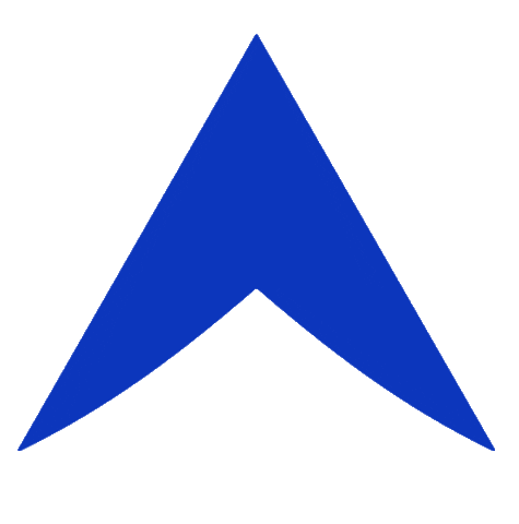 Ski Sticker by Rossignol