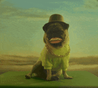 Happy Dog GIF by Oi_oficial