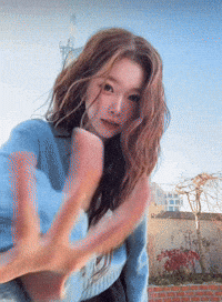 Idol Ok GIF