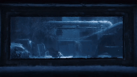 Post Apocalyptic Looking Glass GIF by Xbox