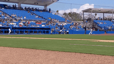 Blue Jays Running GIF by Toronto Blue Jays