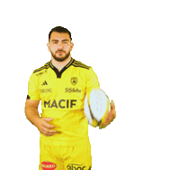Rugby Sticker by Stade Rochelais