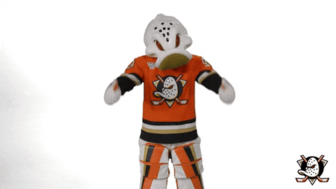 Wild Wing Yes GIF by Anaheim Ducks