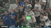 Regular Season Football GIF by NFL