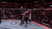 Mixed Martial Arts Sport GIF by UFC