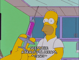 homer simpson GIF