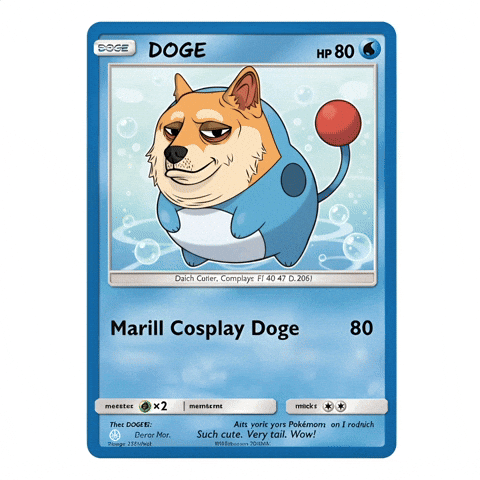 Shiba Inu Wow GIF by Doge Pound