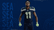 National Football League Dance GIF by Seattle Seahawks