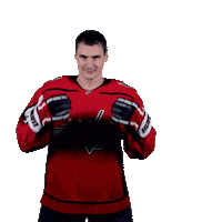 Washington Dc What Sticker by Capitals